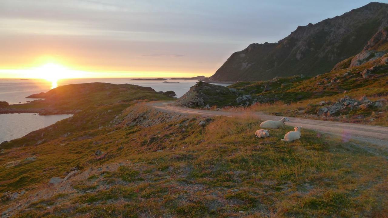 Lovely 3 Rooms Apartment For Holiday In Nyksund Extérieur photo